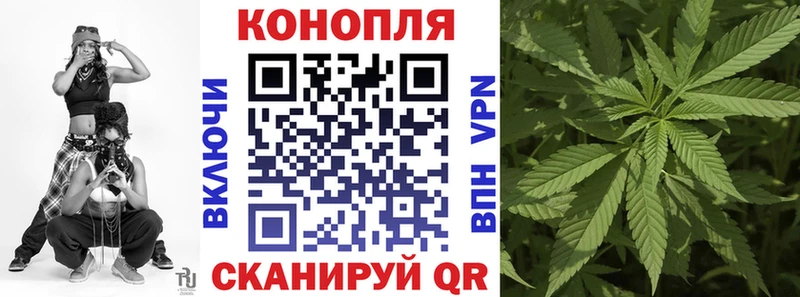 Каннабис индика  Белая Калитва 